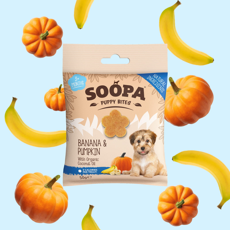 Banana & Pumpkin Healthy Training Bites for Puppies