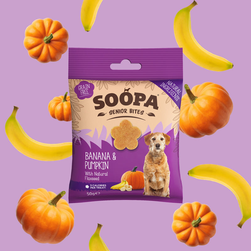 Banana, Pumpkin & Flaxseed Healthy Bites for Senior Dogs
