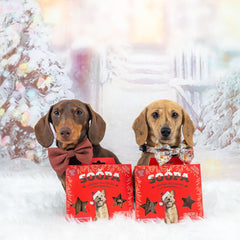 Cranberry & Sweet Potato - Christmas Selection Box